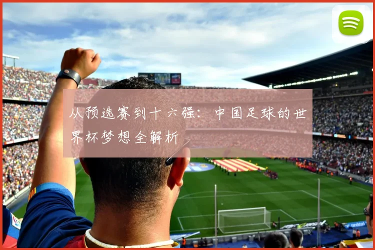 从预选赛到十六强：中国足球的世界杯梦想全解析