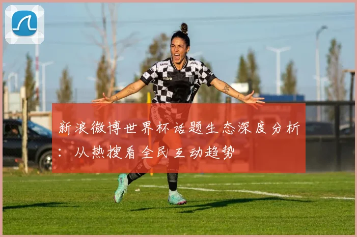 新浪微博世界杯话题生态深度分析：从热搜看全民互动趋势