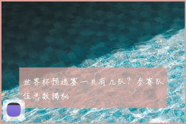 世界杯预选赛一共有几队？参赛队伍总数揭秘