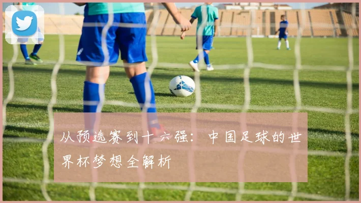 从预选赛到十六强：中国足球的世界杯梦想全解析